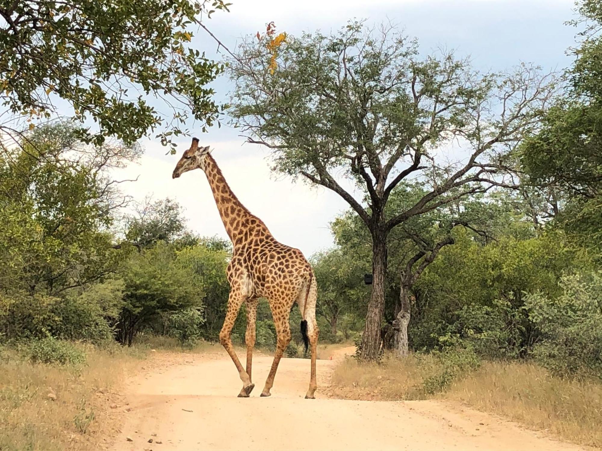 Lodge 54 Hoedspruit Esterno foto