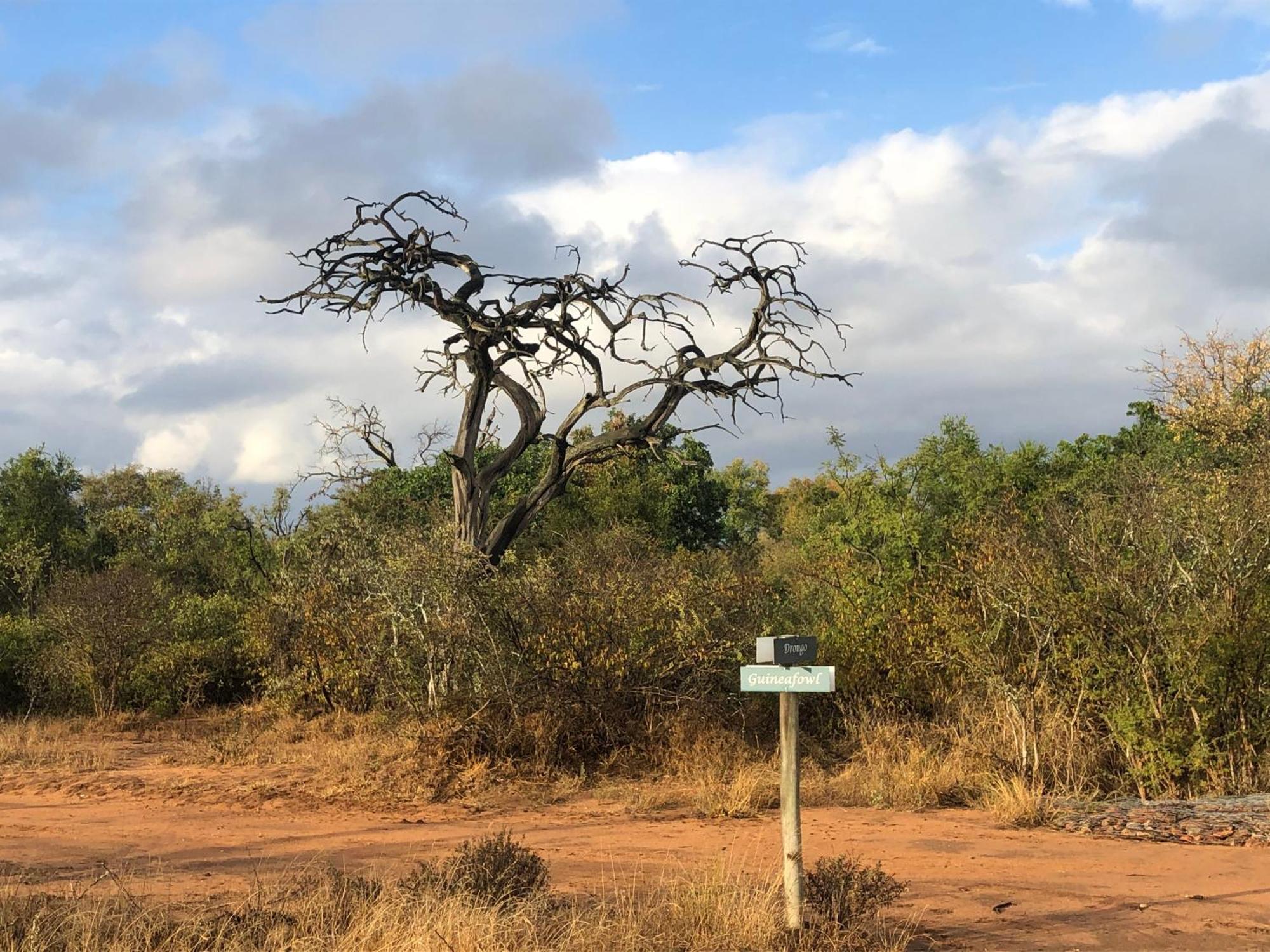 Lodge 54 Hoedspruit Esterno foto